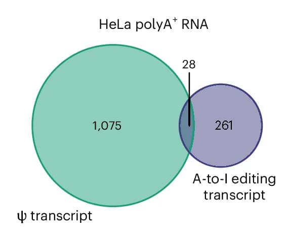 Open access visualization of Venn Diagram, Ψ Sites, A-to-I Editing Sites, Transcripts, Overlap
