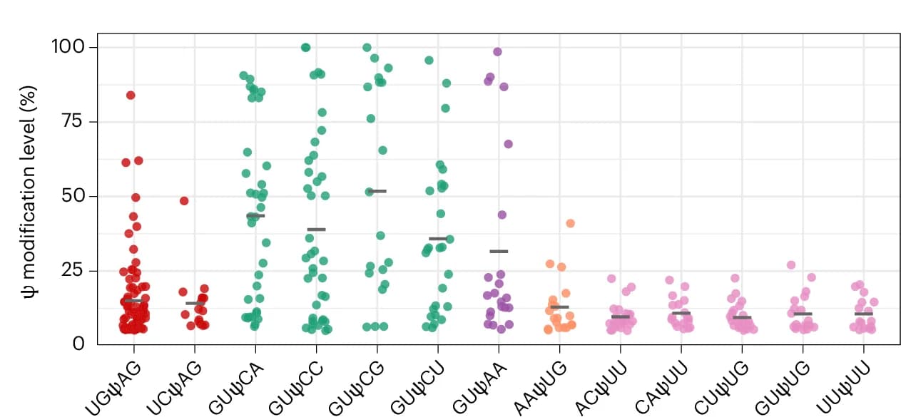 Open access visualization of Scatter Plot, Error Bars, HeLa Cells, mRNA, Ψ Sites