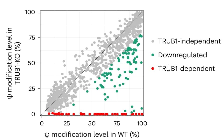 Open access visualization of Scatter Plot, Scatterplot, TRUB1-dependent Psi sites, HeLa transcriptome