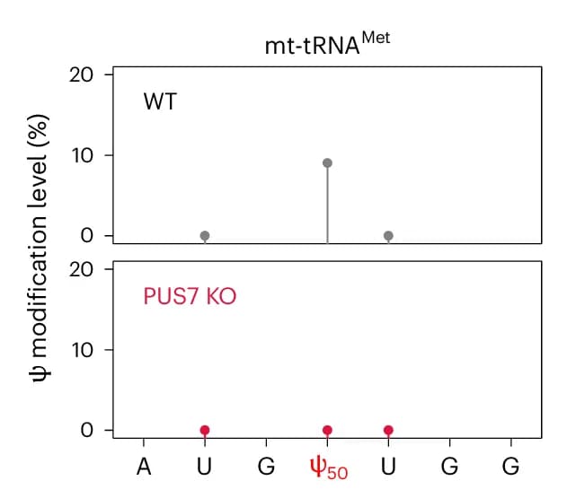 Open access visualization of Scatter Plot, Modification levels, Psi 50, mt-tRNA Met, Wild-type