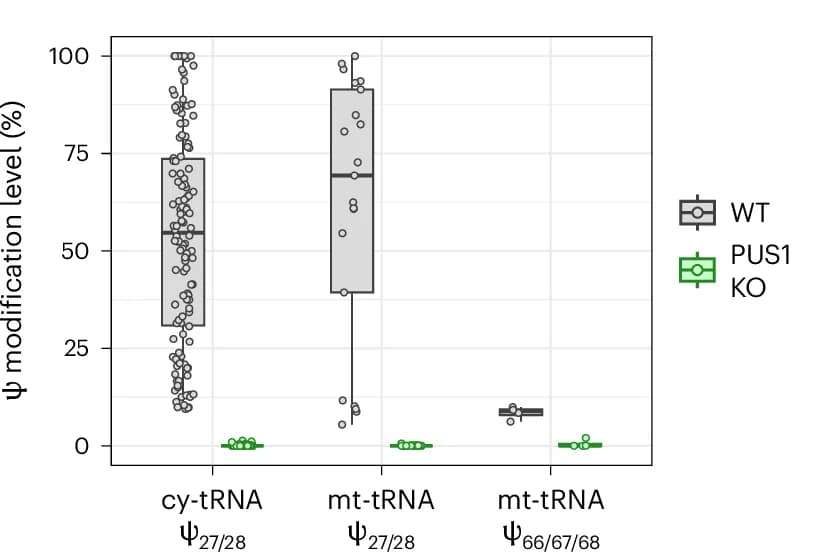 Open access visualization of Box Plot, Scatter Plot, Raincloud Plot, Modification levels, Psi sites