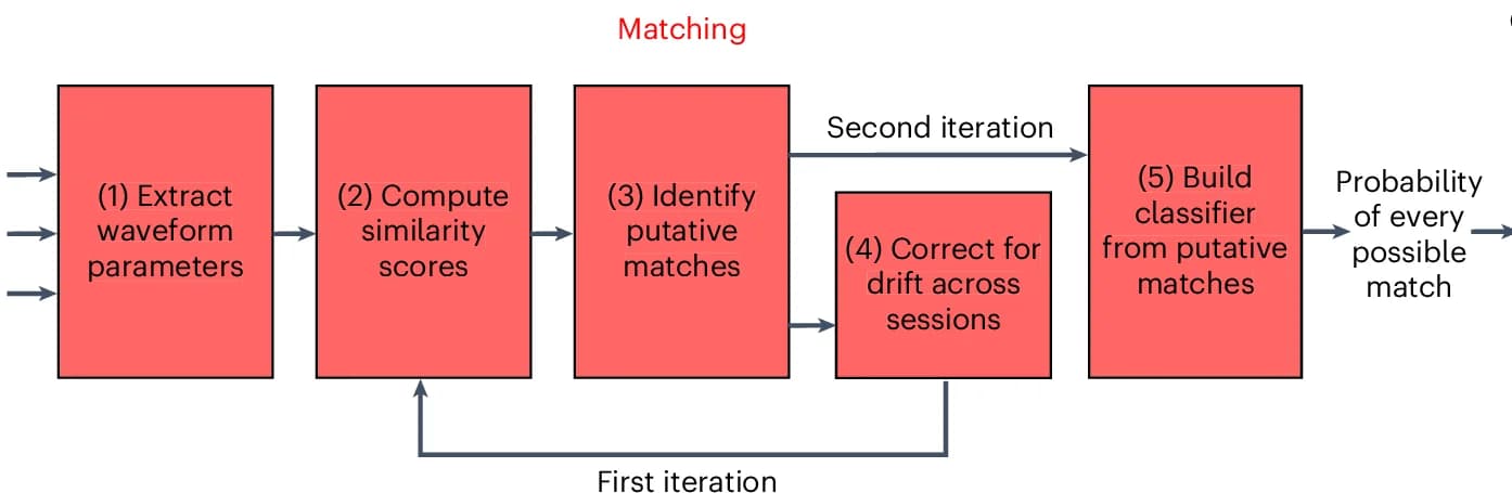 Open access visualization of Workflow, Flowchart, UnitMatch, Waveform, Similarity Scores