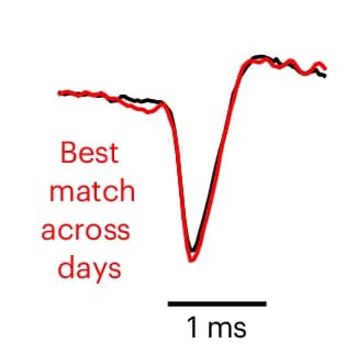 Open access visualization of Line Plot, Waveform, Unit, Neuron, Recording
