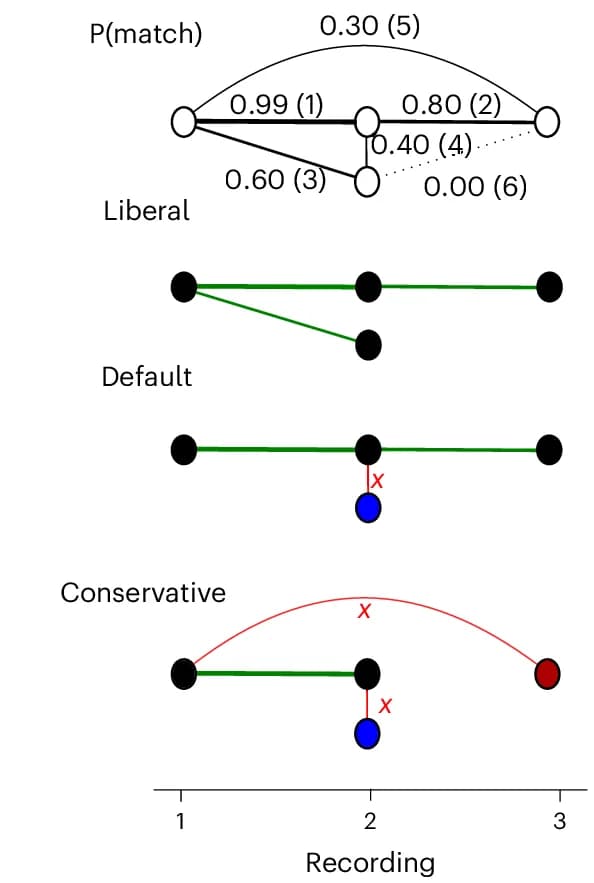 Open access visualization of Network, Pathway, Unit Tracking, Neurons, Recordings