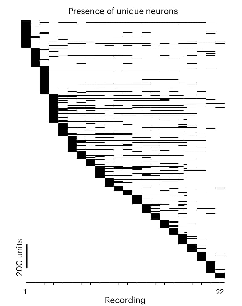Open access visualization of Heatmap, Neuron, Recordings