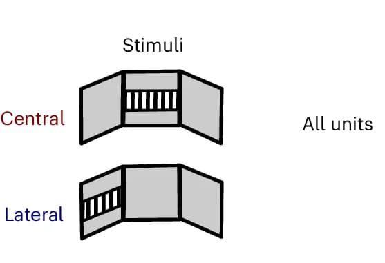 Open access visualization of Illustration, Mice, Neuropixels Probes, Striatum, Neurons