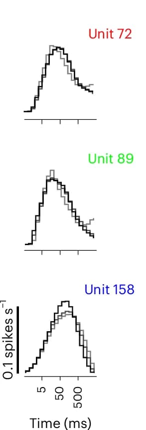 Open access visualization of Line Plot, Line Step, ISI Histograms, Neurons