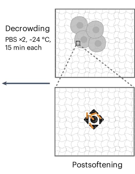 Open access visualization of Workflow, Illustration, Samples, Buffer