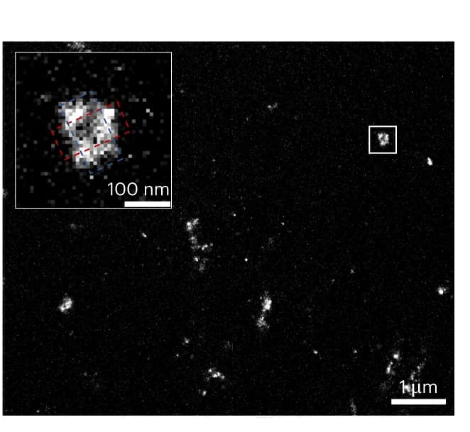 Open access visualization of Microscopy, Confocal Image, HEK293 Cells, Microtubule Staining, XY Plane