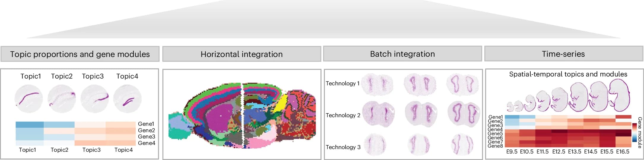 Step-by-Step Guide: How to Build Your Own Visualization Collection on Plottie.art