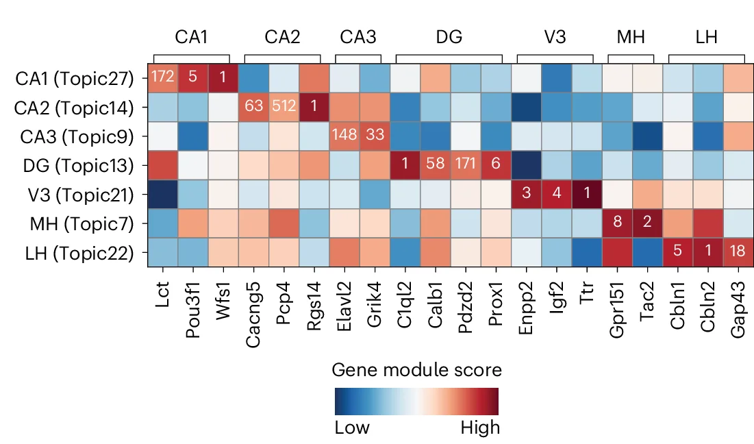Open access visualization of Heatmap, Gene Module Rankings, Gene Markers, Hippocampus