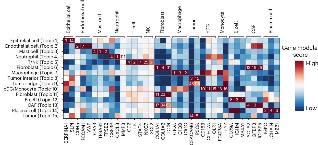 Open access visualization of Heatmap, Gene Module, Marker Genes, Topic