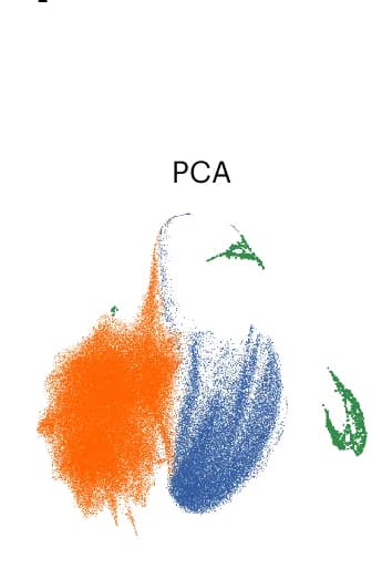 Open access visualization of Scatter Plot, PCA, UMAP, Latent Space, Topics