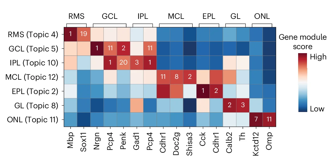 Open access visualization of Heatmap, Gene Module, Marker Genes, STAMP, Topic