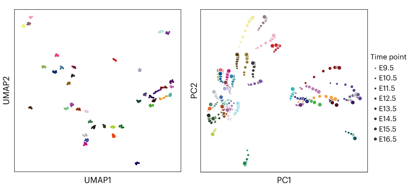 Open access visualization of UMAP, PCA, Scatter Plot, Bubble Plot, STAMP