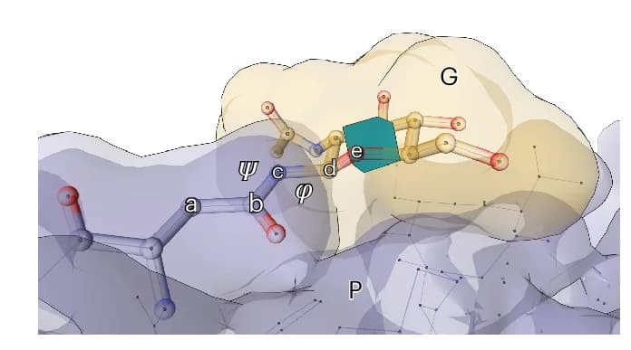 Open access visualization of Protein Structure, Chemical Structure, Torsion Angles, Protein, Glycan