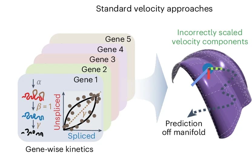 Open access visualization of Illustration, Workflow, Scatter Plot, 3D Plot, Velocity Estimation