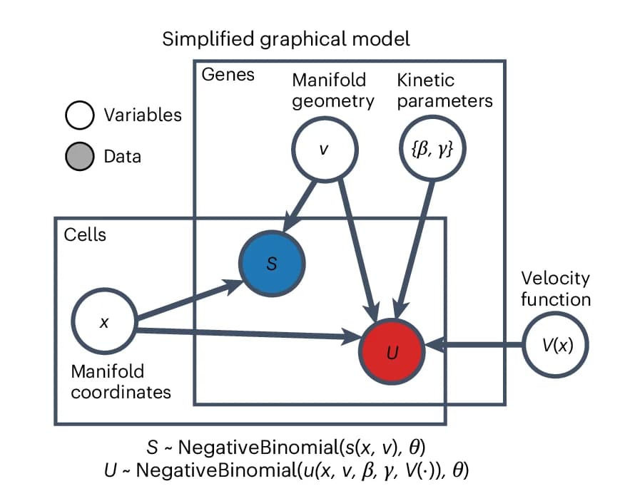 Open access visualization of Pathway, Plate Diagram, Latent Variables, Observable Data, Manifold Coordinates