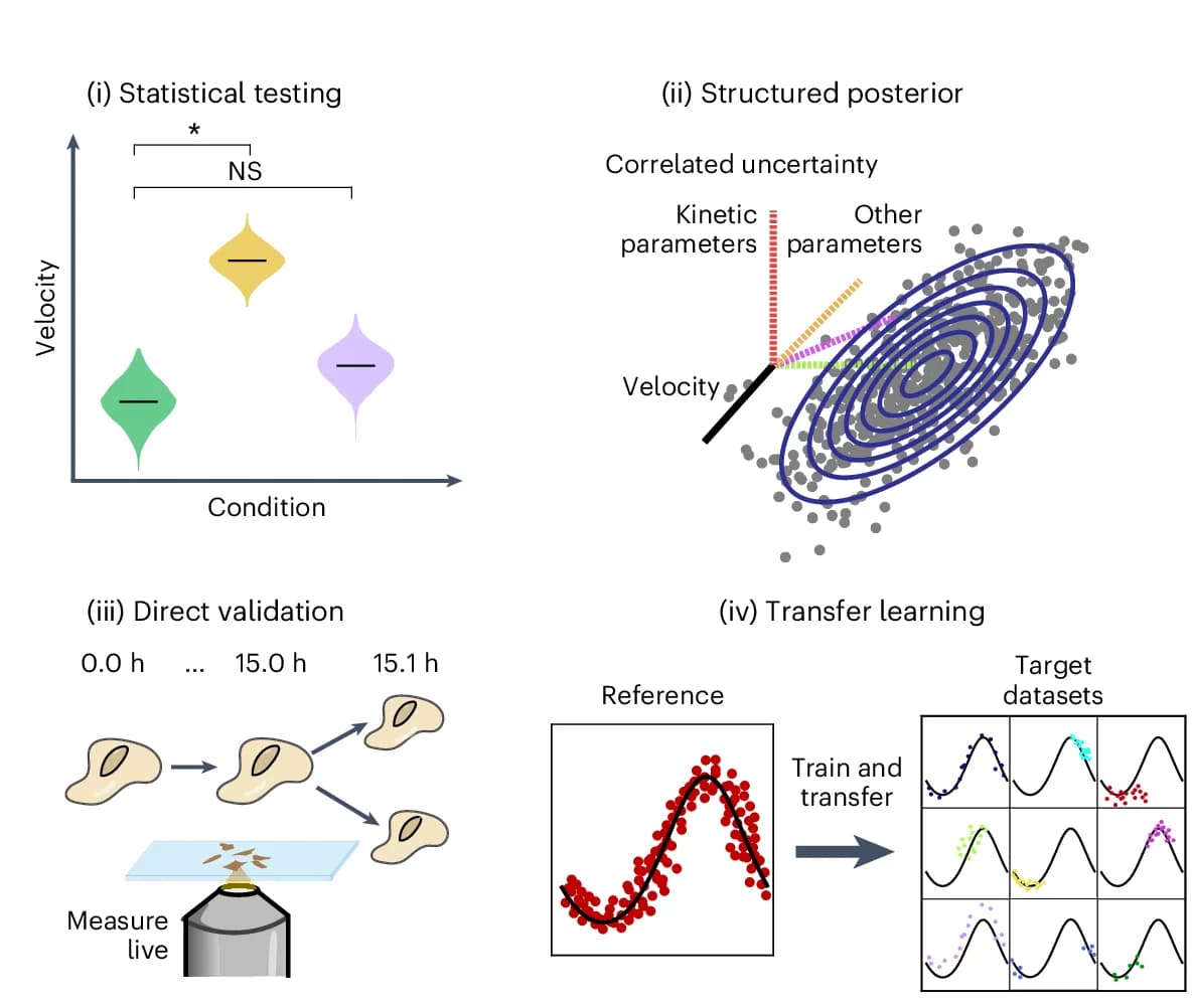 Open access visualization of Violin Plot, Scatter Plot, Line Plot, Illustration, Velocity Analyses
