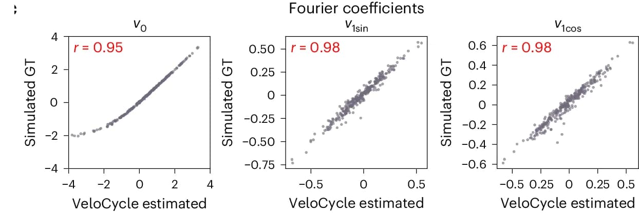 Open access visualization of Scatter Plot, Scatterplot, Gene, Harmonic Coefficient, Fourier