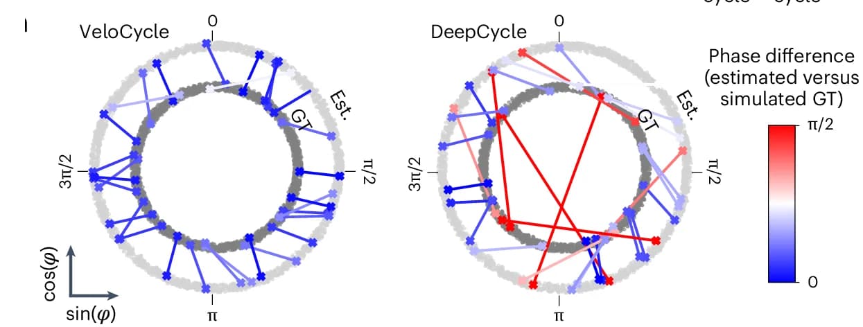 Genomic Data Integration: Circos Plots in Circular Genome Visualization and Multi-Omics Analysis