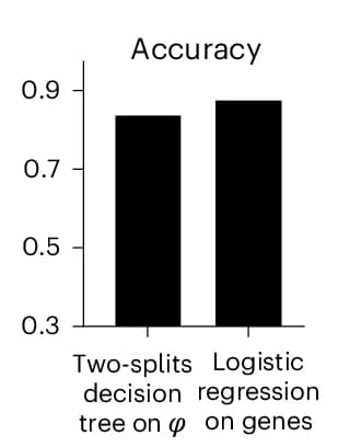 Open access visualization of Bar Plot, Phase Predictor, Decision Tree, Logistic Regression, Expression Matrix