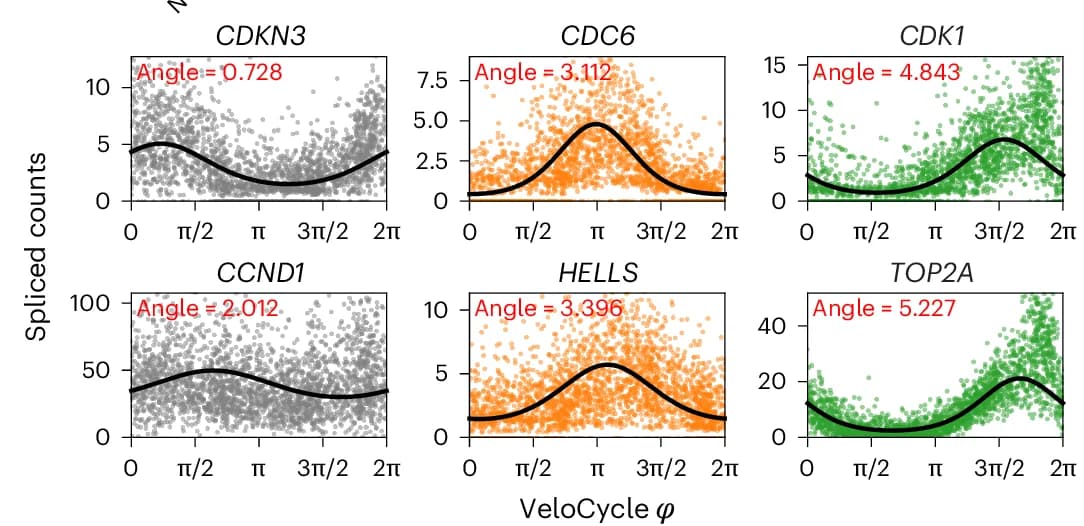 Open access visualization of Scatter Plot, Line Plot, Scatter Plots, Gene Fits, Cell Cycle Markers