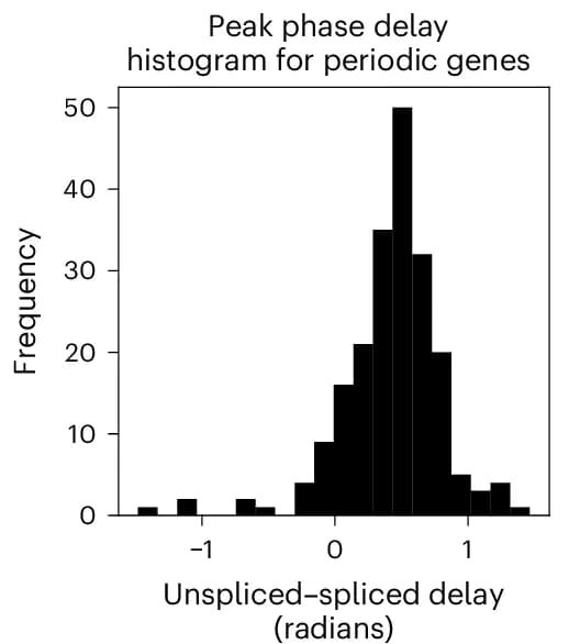 Open access visualization of Histogram, Unspliced-Spliced Delays, Radians