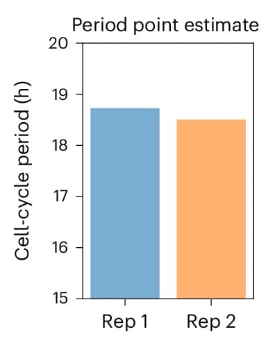 Open access visualization of Bar Plot, Cell Cycle Periods, Point Estimate