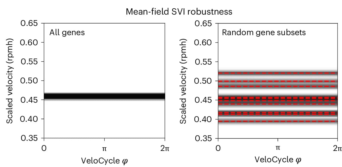 Open access visualization of Line Plot, Posterior Estimated Velocity Plot, Human Fibroblasts, SVI Mode, VeloCycle