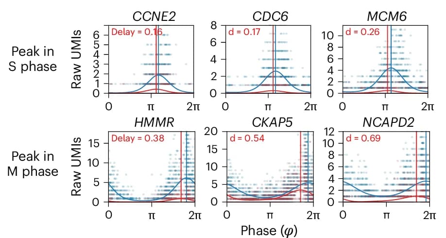 Open access visualization of Scatter Plot, Line Plot, Gene Expression, Scatterplots, S Phase