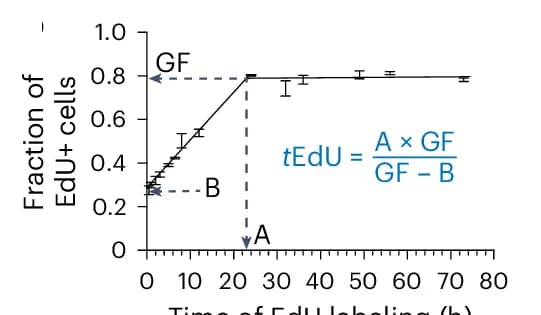 Open access visualization of Line Plot, Error Bars, EdU+ Cells, Time Points, p21+ Cells