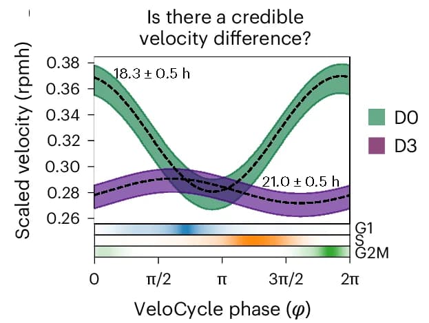 Open access visualization of Line Plot, Error Bars, Posterior Estimate Plot, Scaled Velocity, Erlotinib Treatment