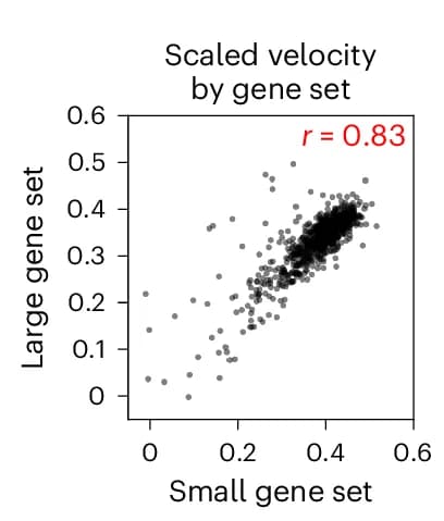 Open access visualization of Scatter Plot, Regression Plot, Spatial Projection, Single-Cell Clusters, Embryo