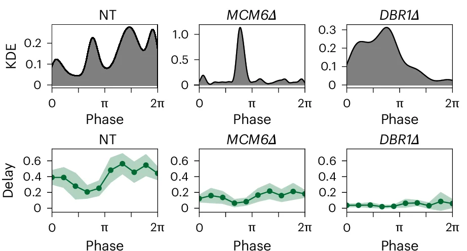 Open access visualization of Density Plot, Line Plot, Error Bars, Kernel Density Estimation, Expression Delay