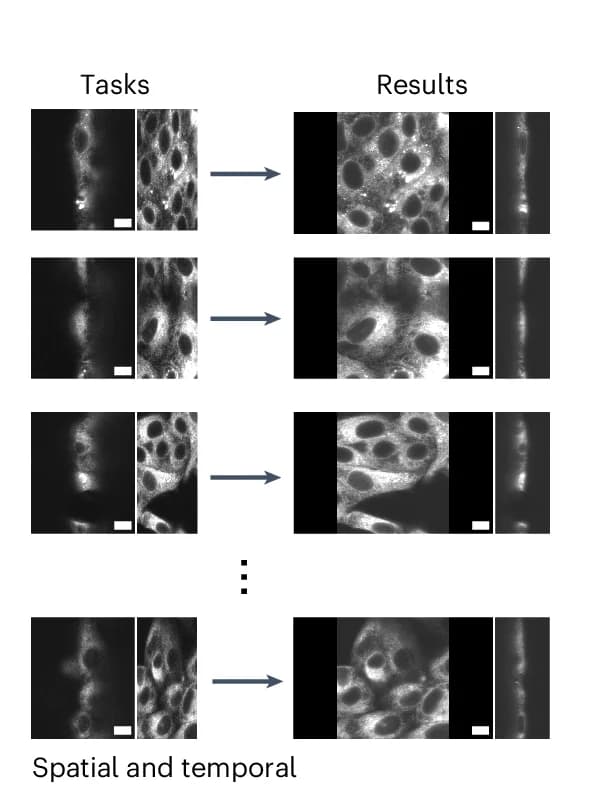 Open access visualization of Microscopy, Distributed Processing, Independent Files, Workers