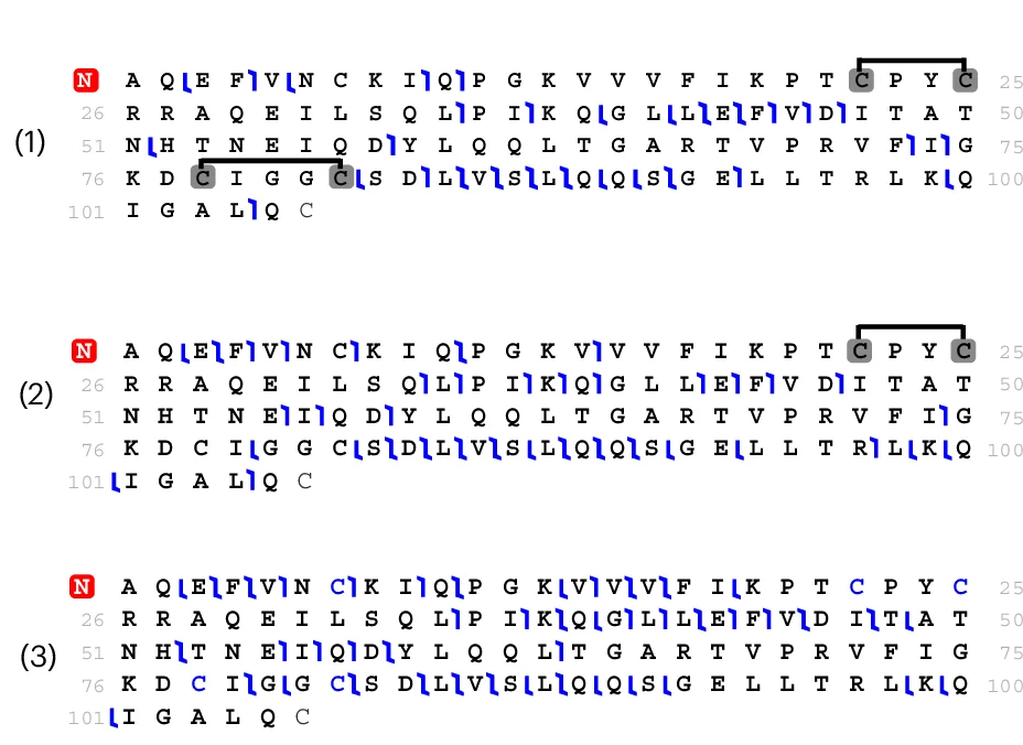 Open access visualization of Illustration, Table Image, Fragment Maps, Proteoforms, Glutaredoxin-1