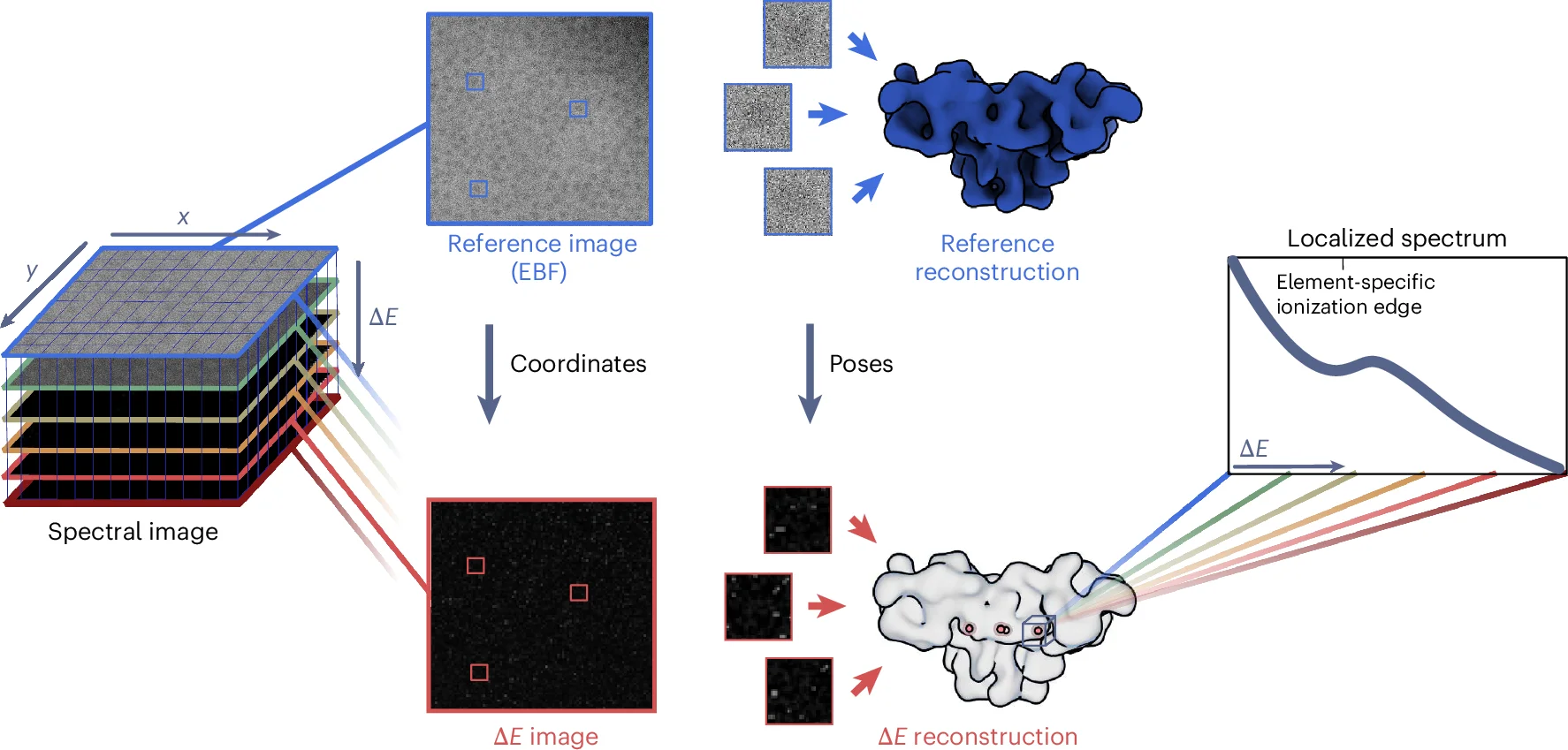 Open access visualization of Workflow, Illustration, Line Plot, Protein Structure, Cryo-preserved Macromolecular Complexes