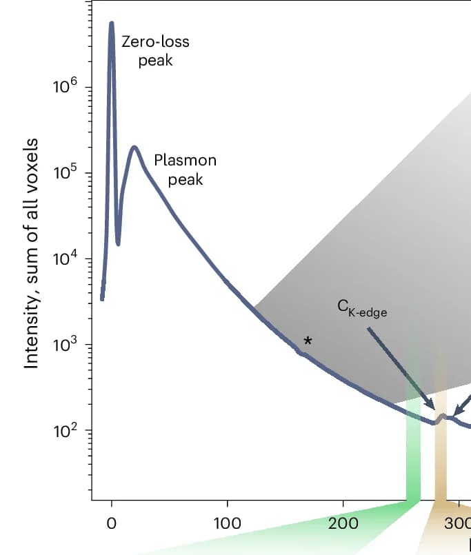 Open access visualization of Line Plot, Density Plot, EELS Reconstructions, Elemental Edges, Carbon