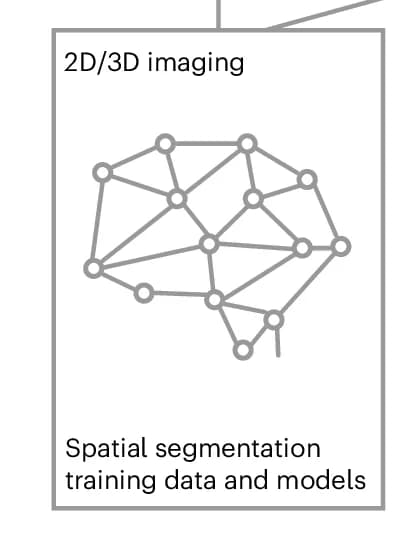 Open access visualization of Network, Labeled Training Data, FTUs, Organs, Anatomical Structures