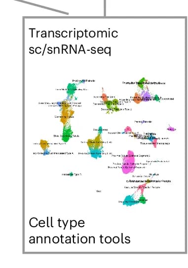 Open access visualization of Scatter Plot, UMAP, PCA, Azimuth References, Organs