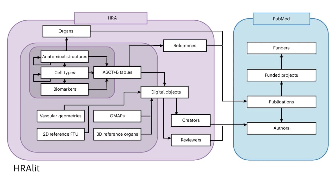 Open access visualization of Workflow, Flowchart, HRAlit Database, HRA DOs, Ontologies