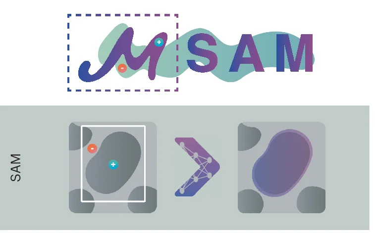 Open access visualization of Workflow, Illustration, Napari Plugin, Segmentation, Microscopy Data