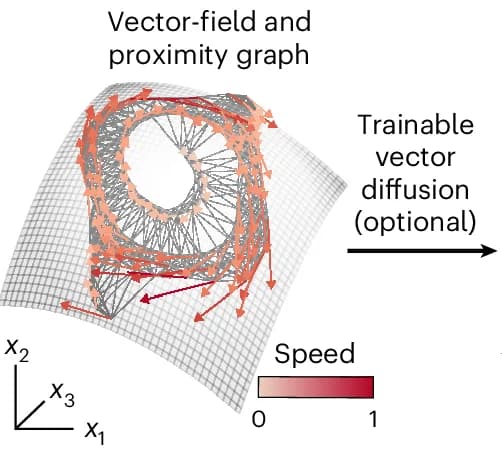 Open access visualization of Network, 3D Plot, Vector Field, Dynamics, Neural States