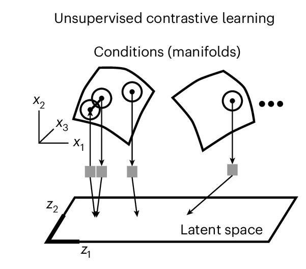 Open access visualization of Workflow, Illustration, Manifold, Neural Network, Unsupervised Learning