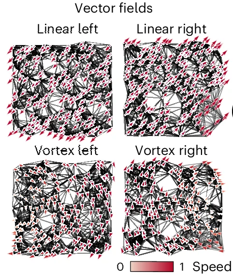 Open access visualization of Network, Vector Fields, Manifold, Graph, Constant Fields