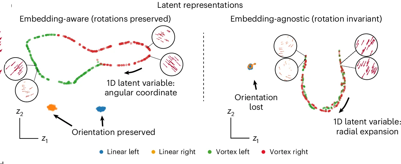 Open access visualization of Scatter Plot, Embedding-Aware Representations, Rotational Information, Latent Space, Angular Variation