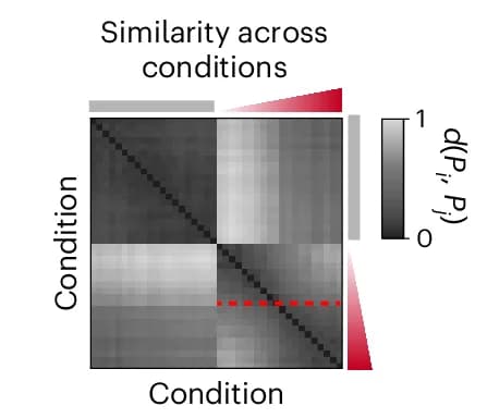 Open access visualization of Heatmap, Gain Conditions, Optimal Transport Distance, MARBLE Representations, Hierarchical Clustering