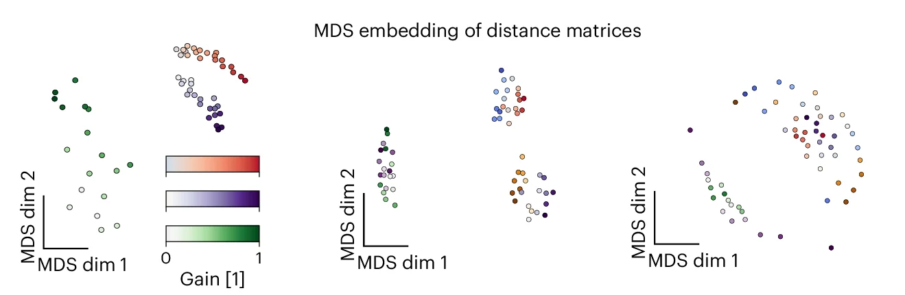 Open access visualization of Scatter Plot, UMAP, PCA, MDS Embedding, Distance Matrices