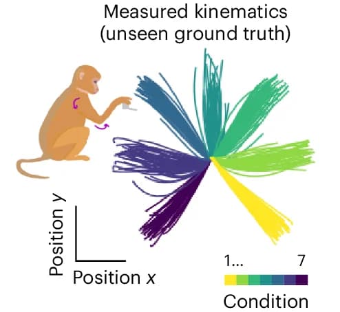 Open access visualization of Line Plot, Hand Trajectories, Macaque, Reach Conditions